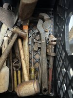 IMG_8132.jpeg