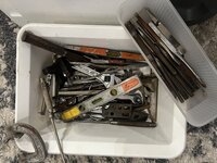 IMG_8130.jpeg