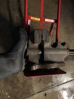 IMG_3981.jpeg