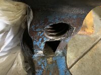 IMG_4138.jpeg