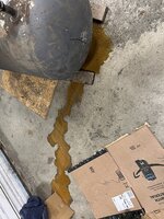 IMG_9424.jpeg