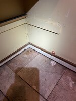 IMG_4800.jpeg IMG_4800.jpeg