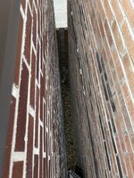 IMG_1480.jpeg IMG_1480.jpeg