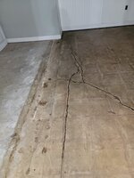 20241003_170314.jpg