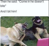 1732739946357.png