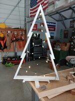 xmas trees1.jpg