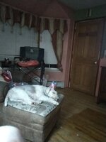IMG_20241128_173602.jpg