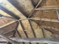IMG_7583.jpeg