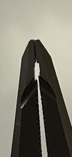 IMG_5043.jpeg