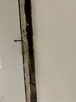 IMG_0566.jpeg
