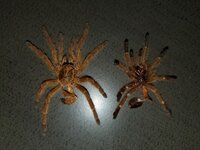 20200818_212832.jpg