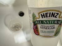 IMG_4785.jpeg