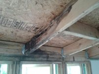 rot (Medium).jpg