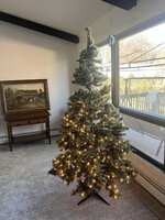 IMG_4953.jpeg IMG_4953.jpeg