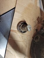 20241208_204929.jpg 20241208_204929.jpg