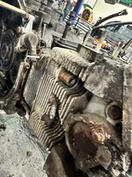 IMG_3283.jpeg