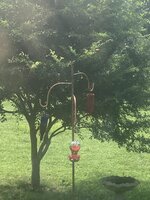IMG_9644.jpeg