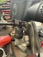 IMG_3694.jpeg