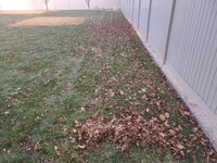 leaves1.jpg