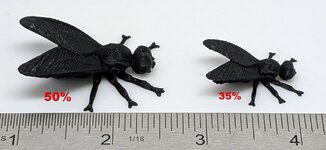 FLIES v2 flat 1.jpg