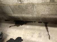 IMG_1651.jpeg IMG_1651.jpeg