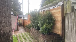 IMG_0157.jpeg IMG_0157.jpeg