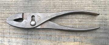 IMG_7857.jpeg