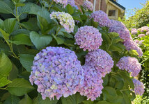 IMG-3400.jpg