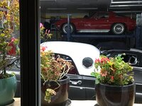 IMG_4907.jpeg