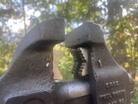 IMG_6643.jpeg