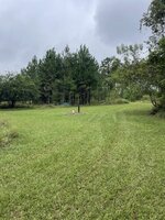 IMG_6533.jpeg IMG_6533.jpeg