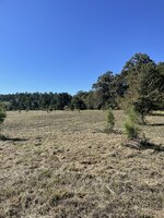 IMG_6653.jpeg IMG_6653.jpeg