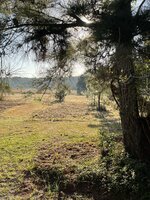 IMG_6678.jpeg IMG_6678.jpeg