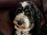 IMG_0739.jpeg