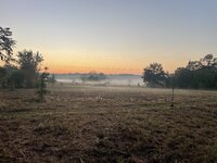 IMG_8148.jpeg IMG_8148.jpeg