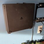 IMG_6846.jpeg