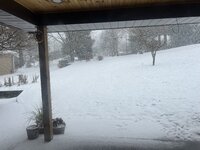 IMG_5156.jpeg IMG_5156.jpeg