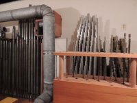 organ.jpg