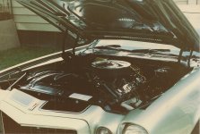 Z28-5.jpg