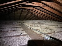 IMG_5165.jpeg