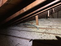 IMG_5166.jpeg