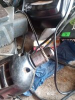 IMG_20241225_120634091.jpg