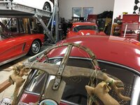 IMG_3939.jpeg IMG_3939.jpeg