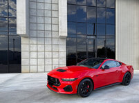 IMG-3550f.jpg