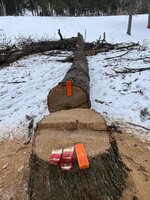 IMG_2807.jpeg