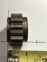 IMG_9866.jpeg