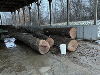 IMG_2817.jpeg