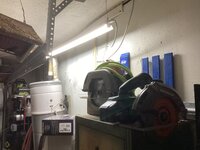 IMG_1269.jpeg IMG_1269.jpeg