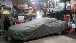 covered.jpg