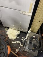 IMG_1753.jpeg